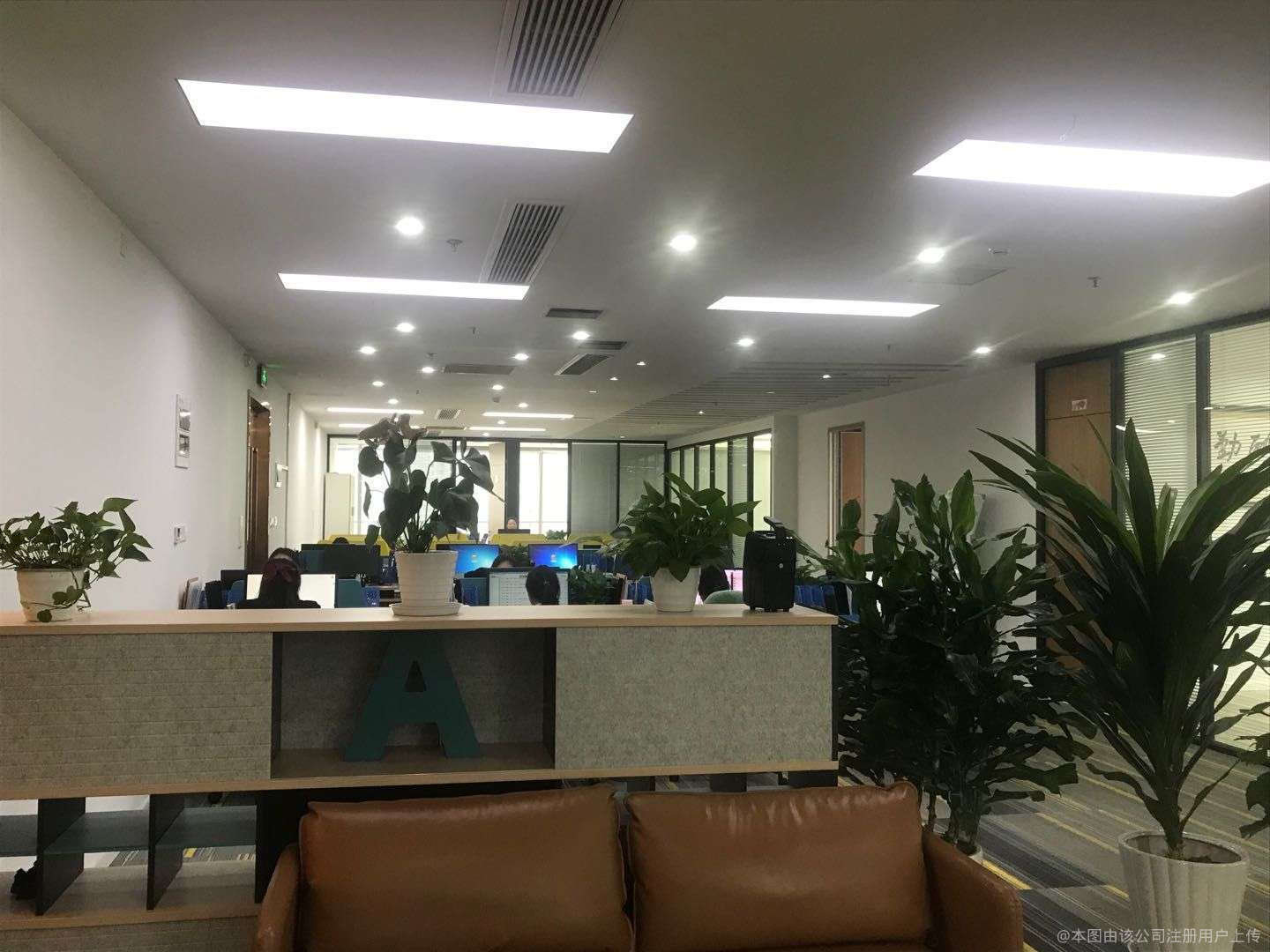 欣普維商務信息咨詢 助力企業精準決策的智慧伙伴